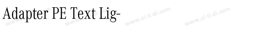Adapter PE Text Lig字体转换